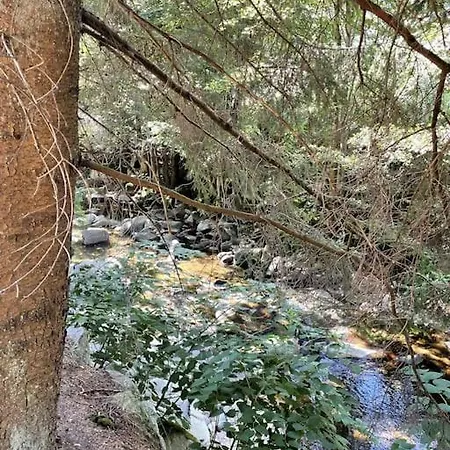 Appartamento La Vanne Confortable Et équipé La Bresse