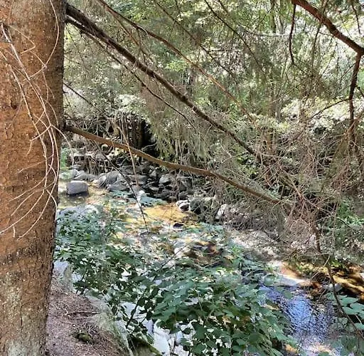 Apartmán La Vanne Confortable Et Equipe La Bresse